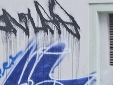 Zoha