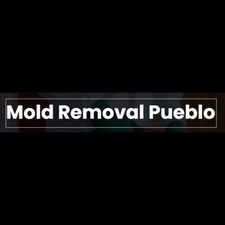 Mold Removal Pueblo