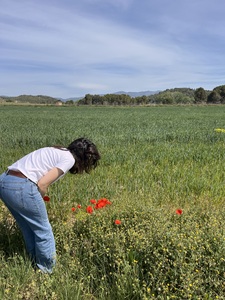 Alba Albert