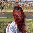 Ieva