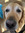 Mollie