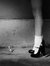 LeTemps...