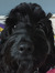 Lillian