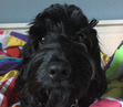 Lillian