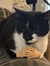 Mowze