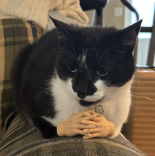 Mowze
