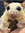 Isaac S...