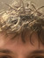 westerb...