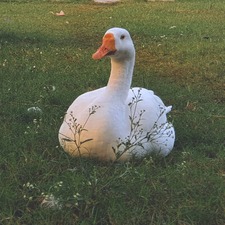 Kartheek
