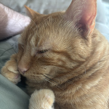Ben
