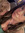 Taylor Lee Townsend Bohl