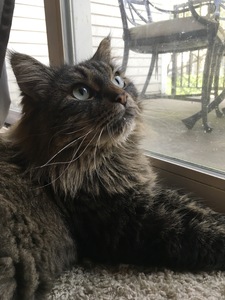 Jackie