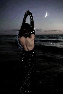 TheMoonlitSpine