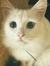 Edith