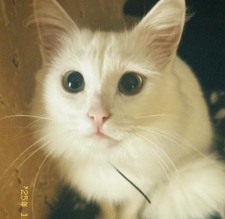 Edith