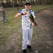 Brody Roedel