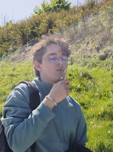 Anas