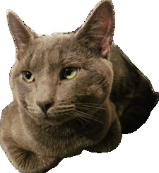 Tim Derkas