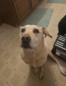 Chloe