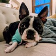 Jackie