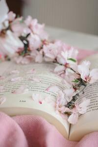 Belle Rose