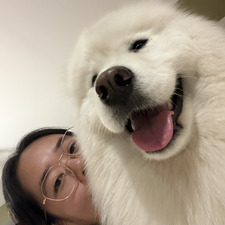 Stephanie Ding