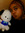 hafsa