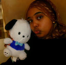 hafsa