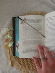 LectusInma