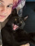 Housecat