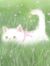 Cece