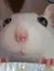 fumi