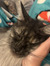 Lacie F...