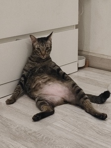 Mon