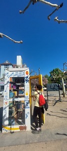 Phantina Sholi
