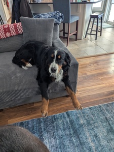 Kiya