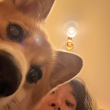 bel