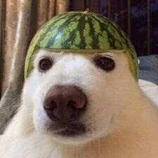 Sam