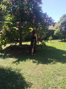Elisa