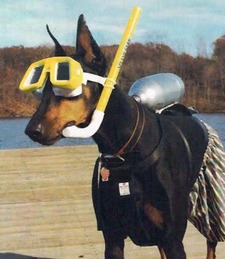 jacklyn