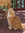 April Matthews