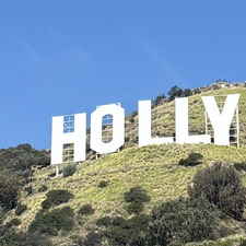 Holly