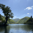 Persefoni