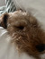 Ellie R...