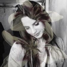 julia ౨ৎ⋆