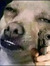 Evan Br...