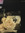 Lily (t...