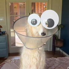 Mar