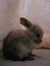 leslie :3