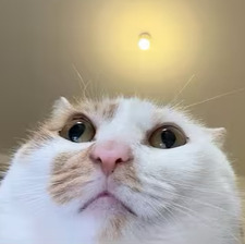 shenisu